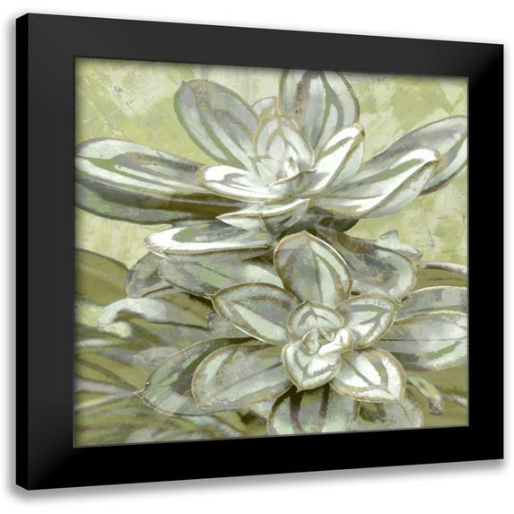 Benson, Lindsay 15x15 Black Modern Framed Museum Art Print Titled - Succulent Verde IV