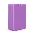 thumbnail image 1 of Bentgo Ice Lunch Chillers - Ultra-Thin Ice Packs Perfect for Everyday Use in Lunch Bags, Lunch Boxes and Coolers - 4 Pack (Purple), 1 of 9
