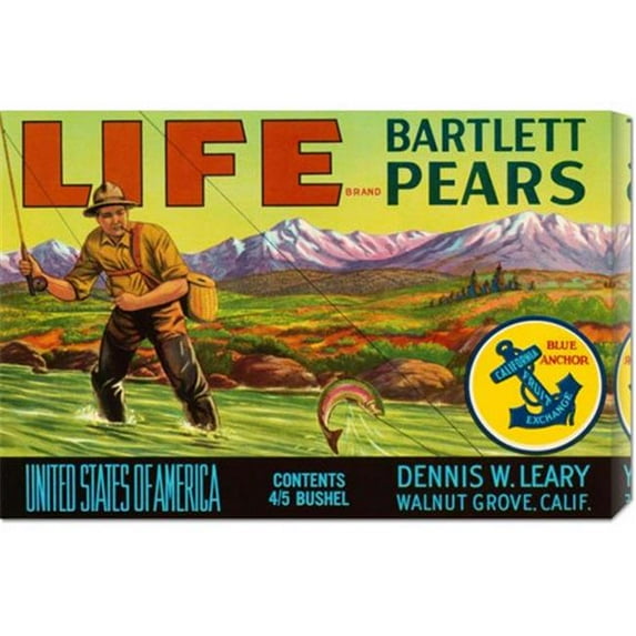 Bentley Global Arts dba American Walls GCS-376021-22-142 Retrolabel 'Life Brand Bartlett Pears' Stretched Canvas