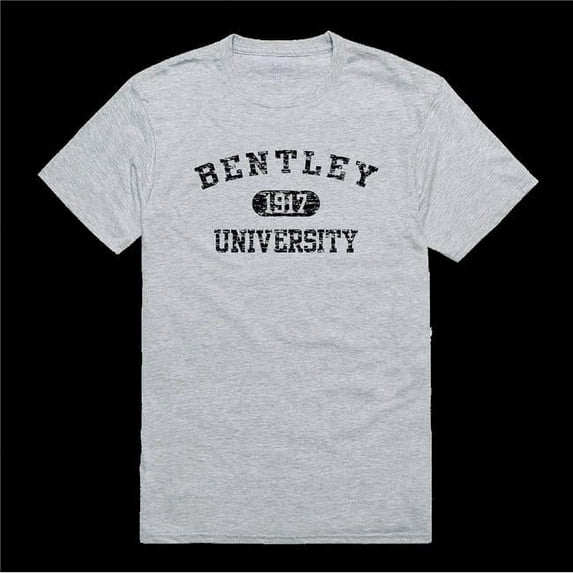 Bentley University Falcons Distressed Arch College T-Shirt, Heather Grey - Extra Large