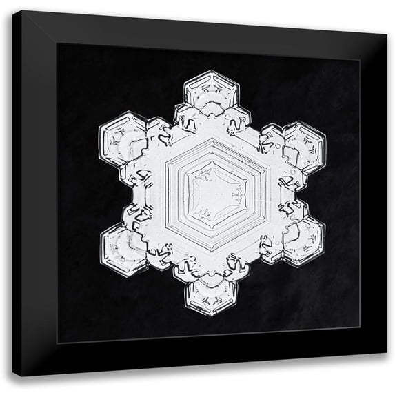 Bentley, Wilson 12x12 Black Modern Framed Museum Art Print Titled - Snowflake 1205