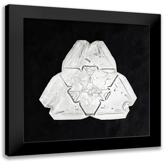 Bentley, Wilson 12x12 Black Modern Framed Museum Art Print Titled - Snowflake 482