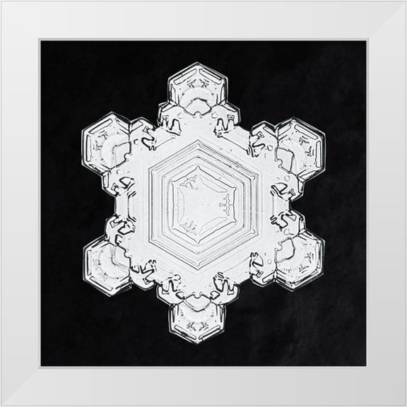 Bentley, Wilson 12x12 White Modern Wood Framed Museum Art Print Titled - Snowflake 1205