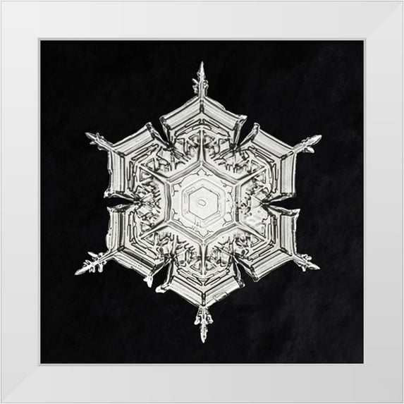 Bentley, Wilson 12x12 White Modern Wood Framed Museum Art Print Titled - Snowflake 579A