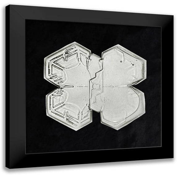 Bentley, Wilson 15x15 Black Modern Framed Museum Art Print Titled - Snowflake 1225