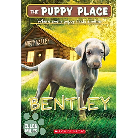 PUPPY PLACE #53 BENTLEY