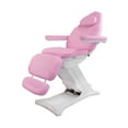 thumbnail image 1 of Benton Facial Massage Bed Electric Multi-Purpose 3 Motors Beauty Lash Chair, Pink, 1 of 9