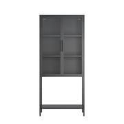 Benvolio 70.87-inch Black Two Door Metal Cabinet with Fluted Clear Doors