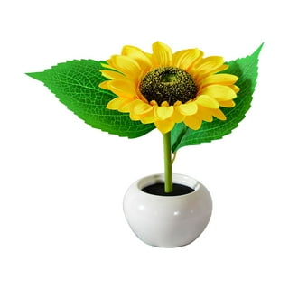 Sunflower Night Light. No Blue Light, Motion Activated Perfect for Kids  Room, Hallway – hárth