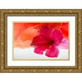 thumbnail image 1 of Beraldo, Zandina Muench 18x13 Gold Ornate Wood Framed with Double Matting Museum Art Print Titled - Hibiscus Flower and Tissue Paper with Light, 1 of 4