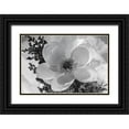 thumbnail image 1 of Beraldo, Zandina Muench 32x23 Black Ornate Wood Framed with Double Matting Museum Art Print Titled - Close-up of flower, 1 of 4