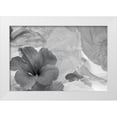thumbnail image 1 of Beraldo, Zandina Muench 32x23 White Modern Wood Framed Museum Art Print Titled - Hibiscus Flower and Tissue Paper with Light, 1 of 4