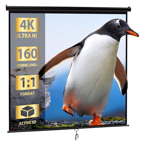 Beran7 120'' Projector Screen Projection Screen Manual Pull Down HD Screen 1:1 Format for Home Cinema Theater Presentation Education Outdoor Indoor Public Display, Black