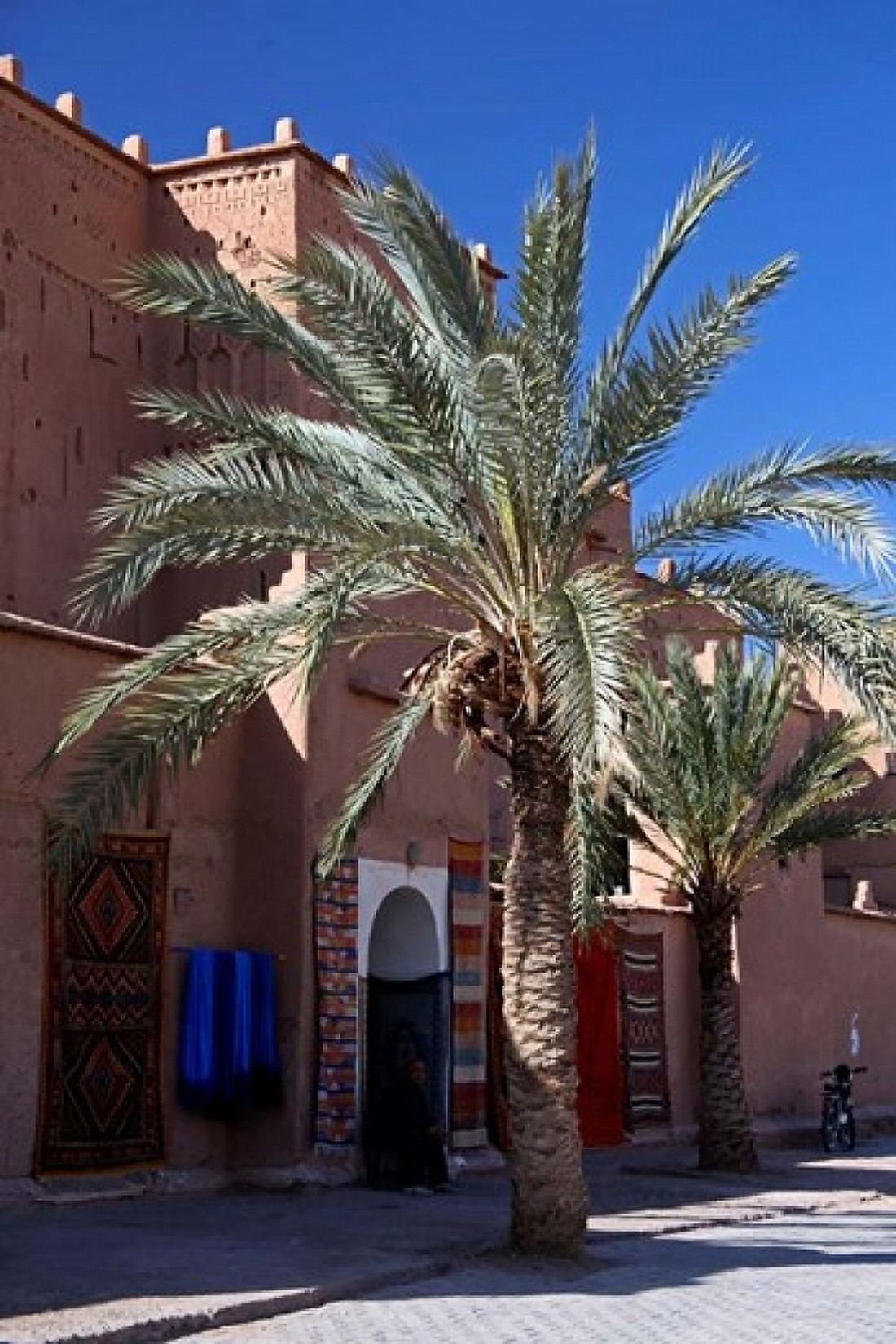 Berber Carpets of Ourzazate Morocco Africa Canvas Art - Kymri Wilt DanitaDelimont (18 x 24)
