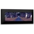 thumbnail image 1 of Berenholtz, Richard 24x11 Black Modern Framed Museum Art Print Titled - Monterey Cypress Trees Point Reyes California, 1 of 5