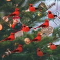 thumbnail image 1 of Berfutall-Cardinal Clip On Christmas Tree Ornament Decorations - Red Feathers Set of 12 Pieces Each is 2.8" Lon(A), 1 of 14