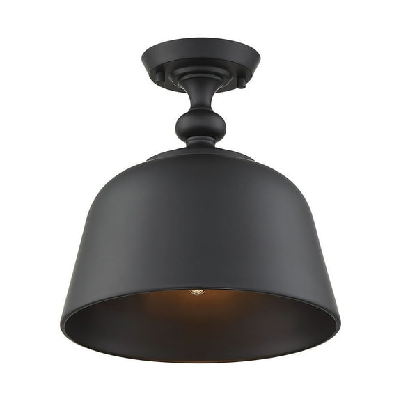 Berg 1-Light Ceiling Light in Matte Black