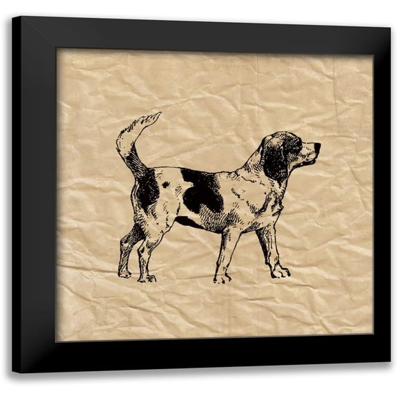 Berg, Sabine 12x12 Black Modern Framed Museum Art Print Titled - Beagle