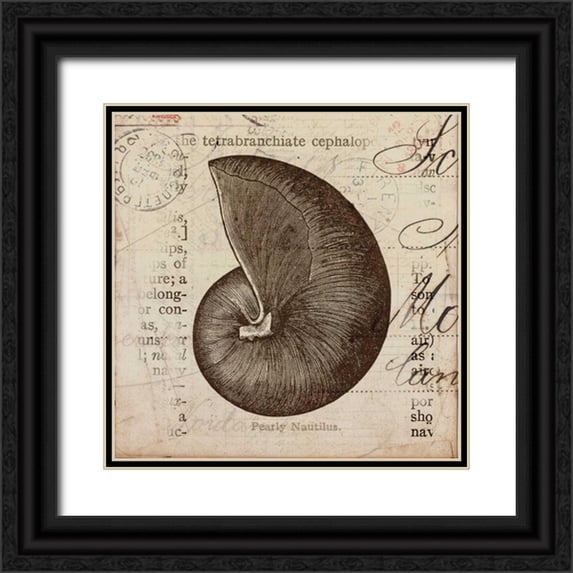 Berg, Sabine 12x12 Black Ornate Wood Framed with Double Matting Museum Art Print Titled - Ocean Collection II