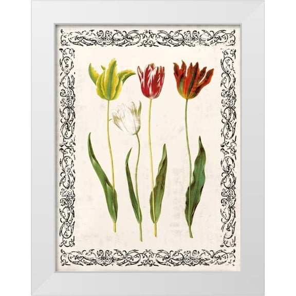Berg, Sabine 12x14 White Modern Wood Framed Museum Art Print Titled - Spring Blooms I