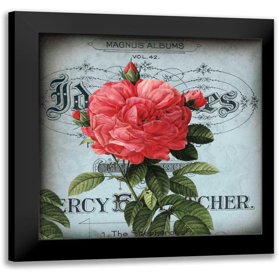 Berg, Sabine 20x20 Black Modern Framed Museum Art Print Titled - Petite Rose I