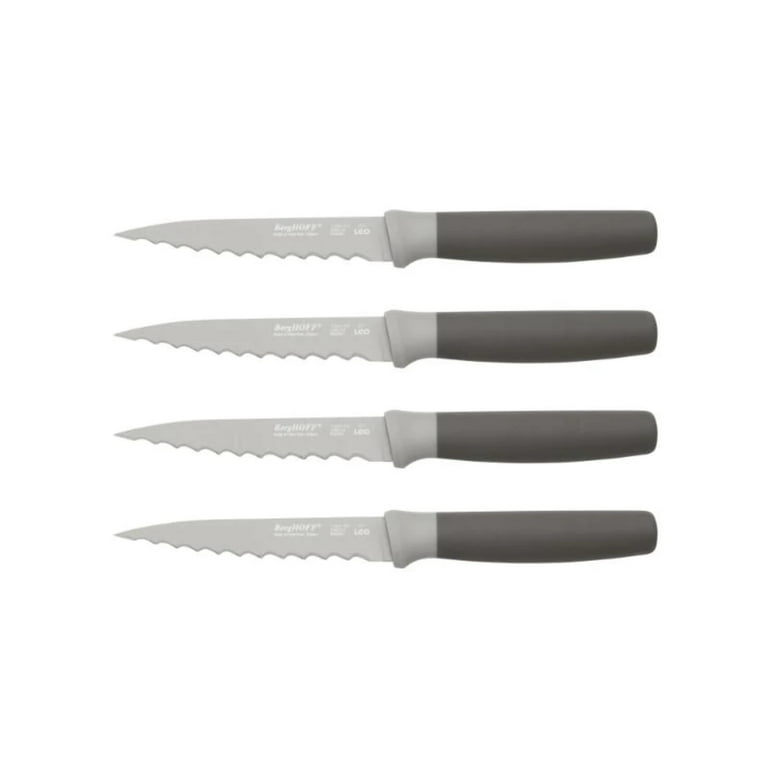 Leo 6-Piece Gray Stainless Steel Knife Set with Block