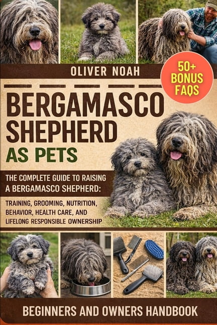 Bergamasco Shepherd as Pets: The Complete Guide to Raising a Bergamasco Shepherd: Training, Grooming, Nutrition, Behavio, (Paperback)