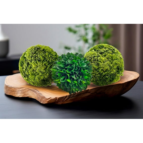 Bergamo Art Box of 3 Preserved Decorative Boxwood and Cockscomb Topiary Balls