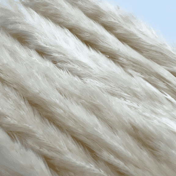 Bergamo Art Bundle of 4 Preserved Flowers Small Pampass Grass 20" long in White