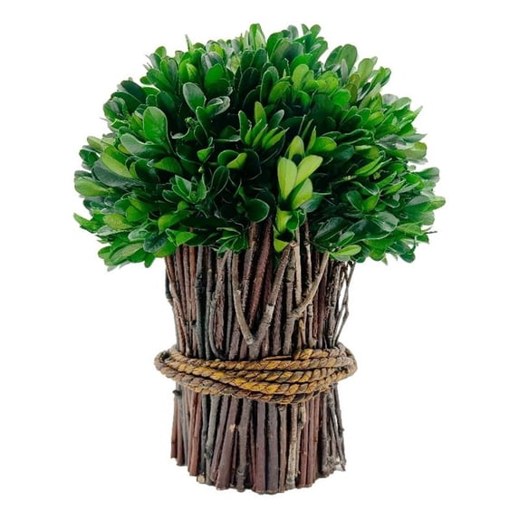 Bergamo Art Preserved 10 Inch Decorative Boxwood Standing Topiary Plant Green