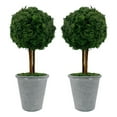 thumbnail image 1 of Bergamo Art Preserved 16 Inch Reindeer Moss Ball Potted Topiary Tree Pair Green, 1 of 4