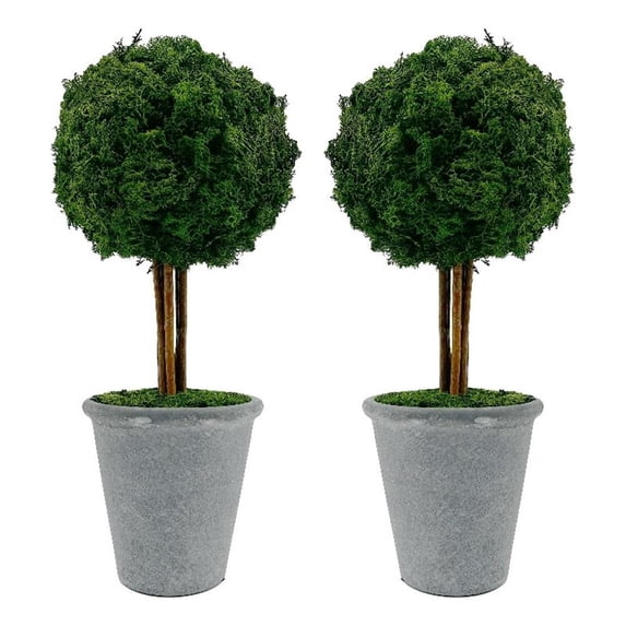 Bergamo Art Preserved 16 Inch Reindeer Moss Ball Potted Topiary Tree Pair Green