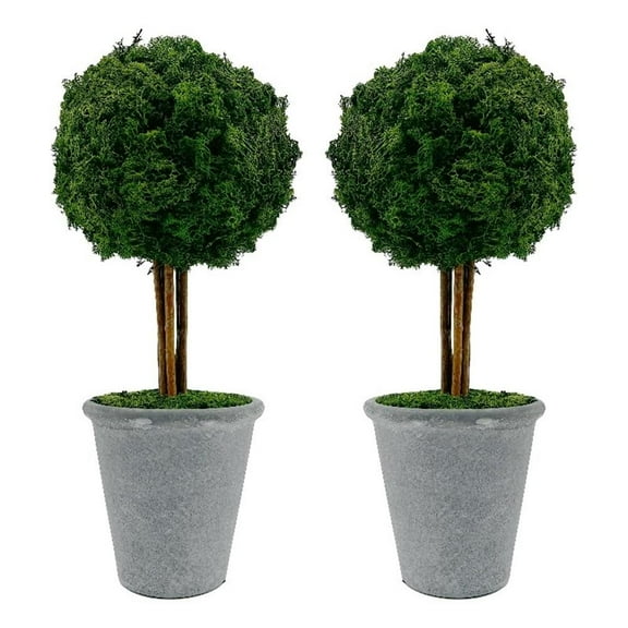 Bergamo Art Preserved 16 Inch Reindeer Moss Ball Potted Topiary Tree Pair Green