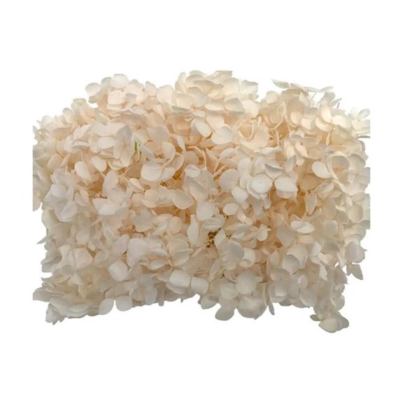 Bergamo Art Preserved Anna Hydrangea(Box) in Pink