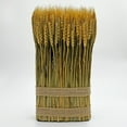 thumbnail image 1 of Bergamo Art Preserved Decorative Wheat Standing Plant in Gold, 1 of 6