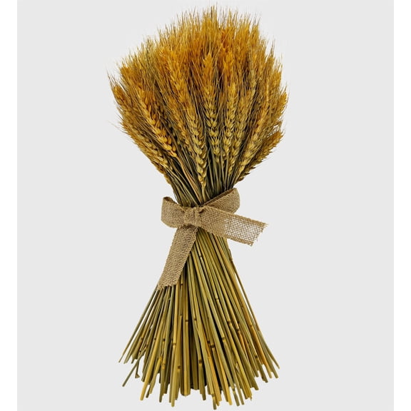Bergamo Art Preserved Decorative Wheat Standing Topiary Plant in Gold