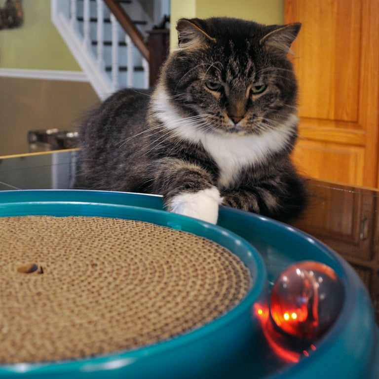 Bergan Turbo LED Replacement Ball for Cat Toy Walmart