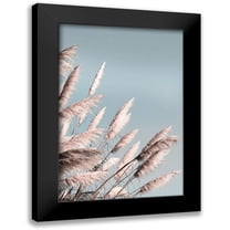 Bergham, Brent 11x14 Black Modern Framed Museum Art Print Titled - Pretty Pampas II