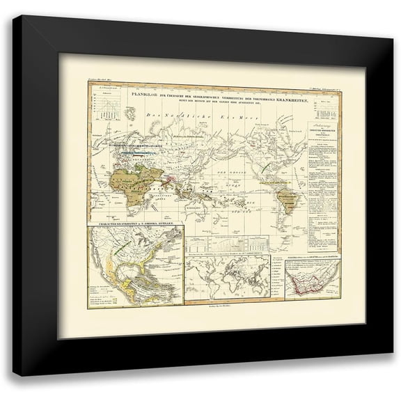 Berghaus 13x12 Black Modern Framed Museum Art Print Titled - World Principal Diseases - Berghaus