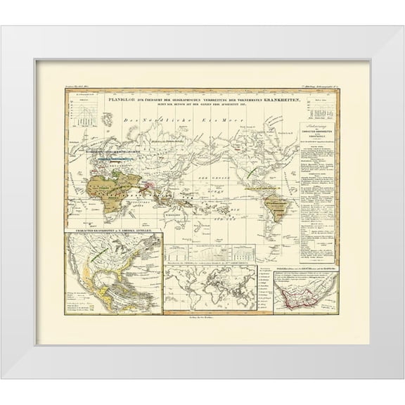 Berghaus 13x12 White Modern Wood Framed Museum Art Print Titled - World Principal Diseases - Berghaus