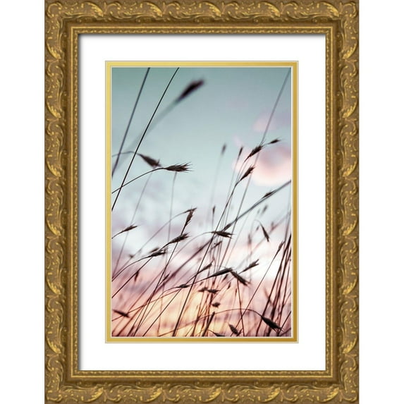 Berhherm, Brent 17x24 Gold Ornate Wood Framed with Double Matting Museum Art Print Titled - Falls Park Sunset