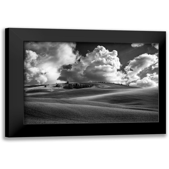 Berk 14x11 Black Modern Framed Museum Art Print Titled - Palouse Bliss