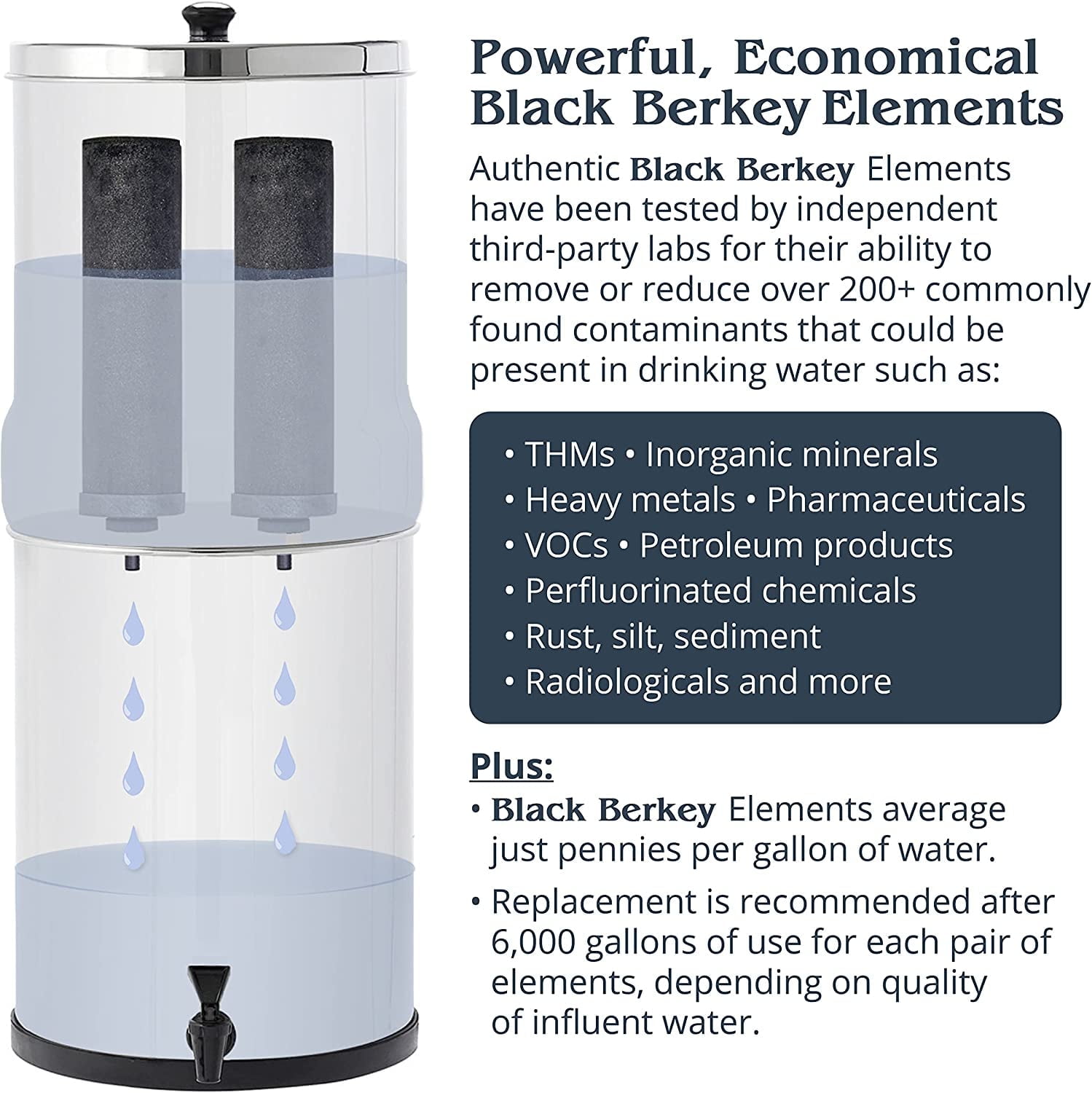 Berkey Authentic Black Berkey Elements BB9-2 Filters for Berkey Water Systems (Set of 2)