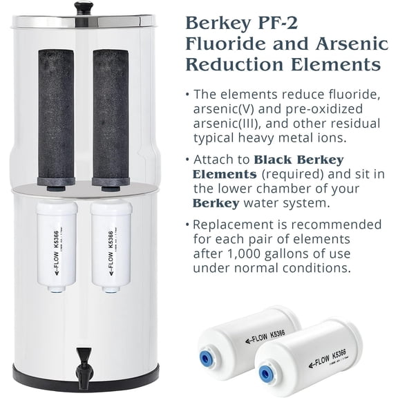 Berkey Black Replacement Fluoride Self-Sterilizing Cleanable Filters Combo Pack