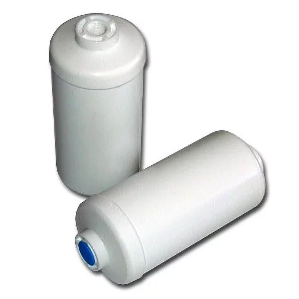 Berkey PF-2 Fluoride/Arsenic Replacement Filters, 2-Pack - Walmart.com