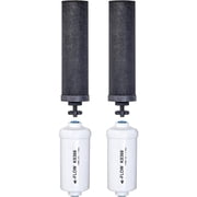 Berkey Replacemnet Filters - Includes 2 Black Filters and 2 Fluoride Filters