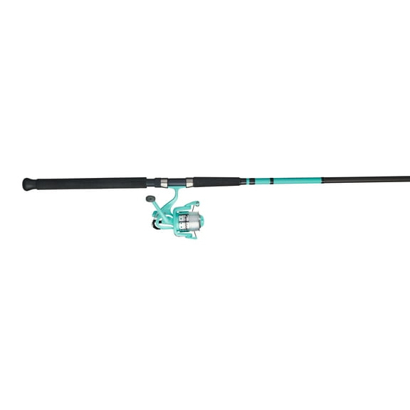 Berkley Fusion Spinning Combo, 9' Medium Heavy Fishing Rod, 60 Size Reel