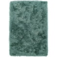 thumbnail image 1 of Berkley Bold Area Rug IA100 Ia100 Teal Teal Fluffy Shag 5' x 7' 6" Rectangle, 1 of 1