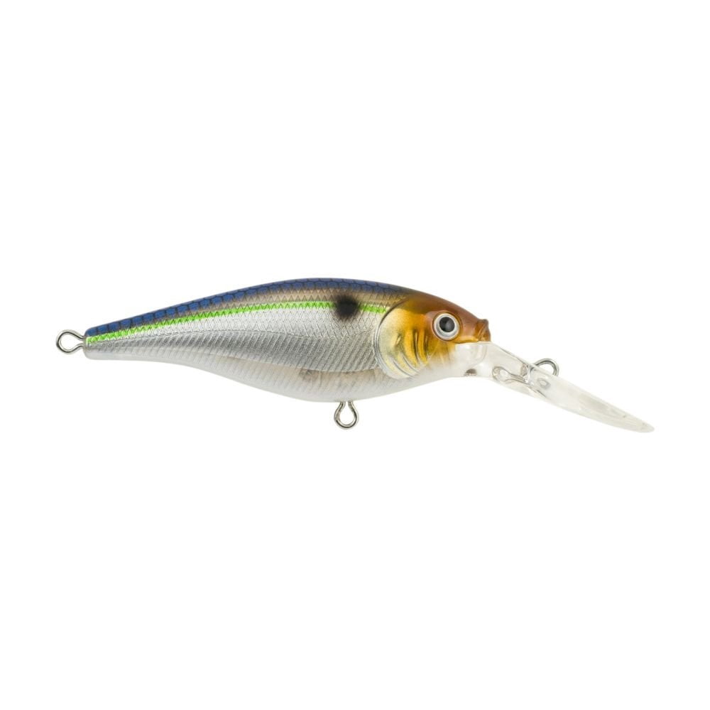 Ecogear Sardine Head Jig Head - 3/16 Oz (5.3g), Size #1/0, Saltwater Fishing Lure For Bass, Seabass, And More - View #10