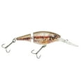 thumbnail image 1 of Berkley Flicker Shad Jointed Fishing Lure, HD Blacknose Dace, 1/3 oz, 1 of 6